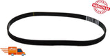 New OEM Genuine WH01X27538 GE Drive Belt